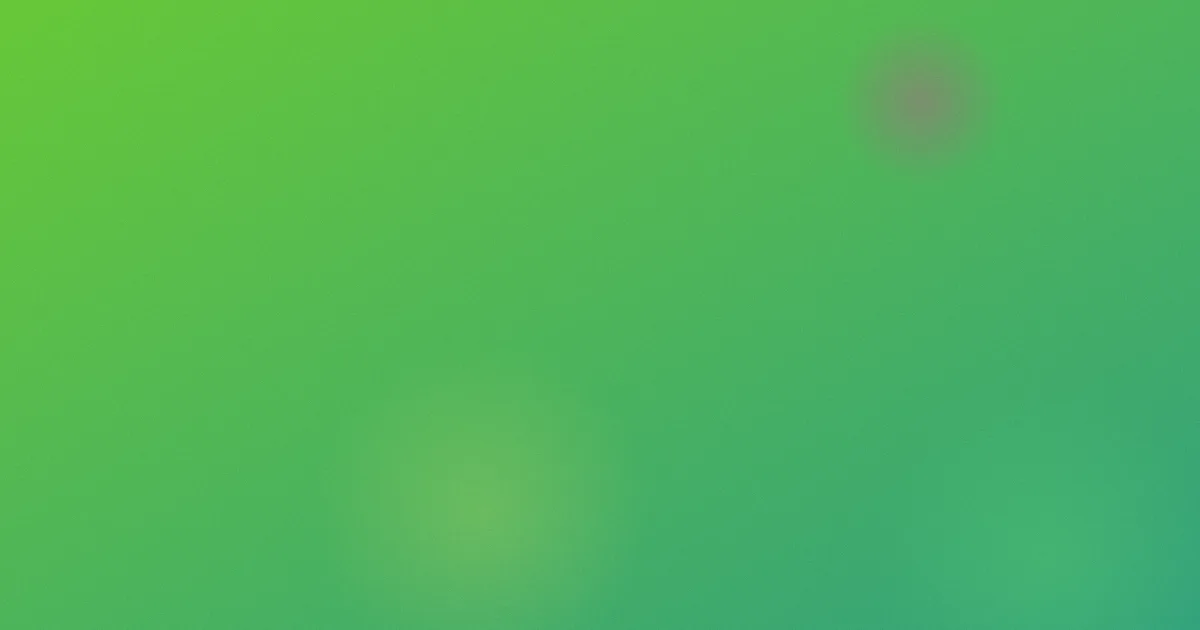 最黄的网站是什么：逐项看清